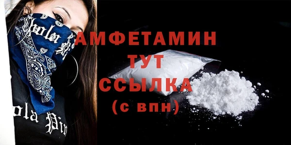 стаф Новодвинск