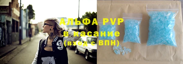 стаф Новодвинск