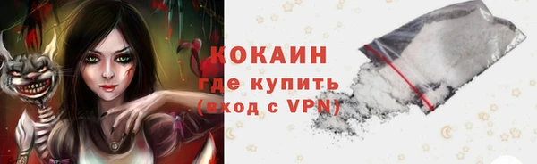 гашик Новозыбков