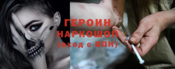 гашик Новозыбков