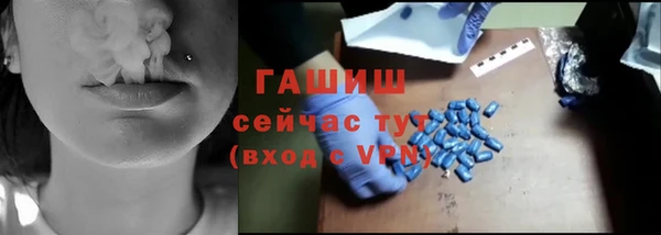 гашик Новозыбков