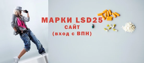 гашик Новозыбков