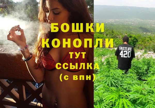 стаф Новодвинск