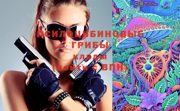 стаф Новодвинск