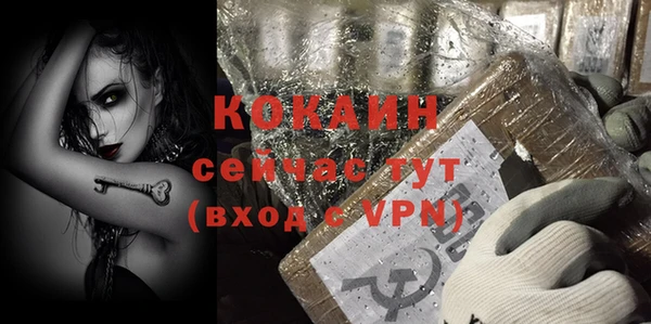 стаф Новодвинск