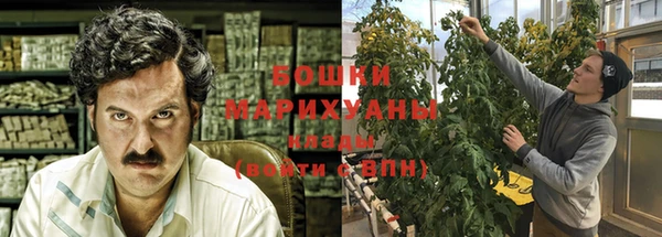 стаф Новодвинск
