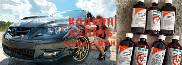 гашик Новозыбков