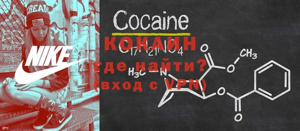 гашик Новозыбков