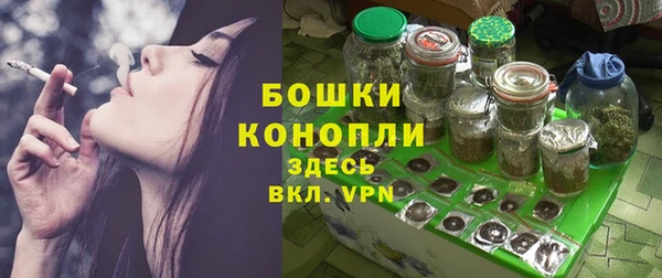 гашик Новозыбков