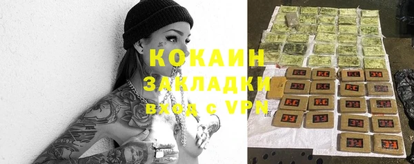 гашик Новозыбков