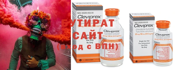 гашик Новозыбков