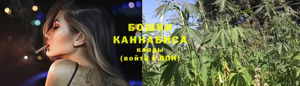 гашик Новозыбков